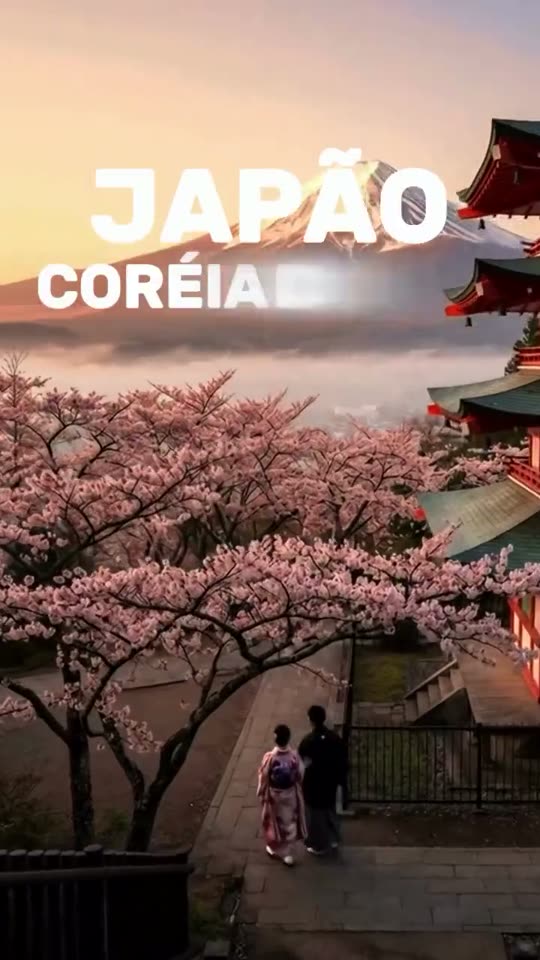 Vídeo do Instagram da Pereira Oliveira Turismo